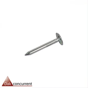 Asfaltnagels verzinkt.asfaltnagels.korte spijker.spijkeren dakbedekking.vastzetten dakbedekking